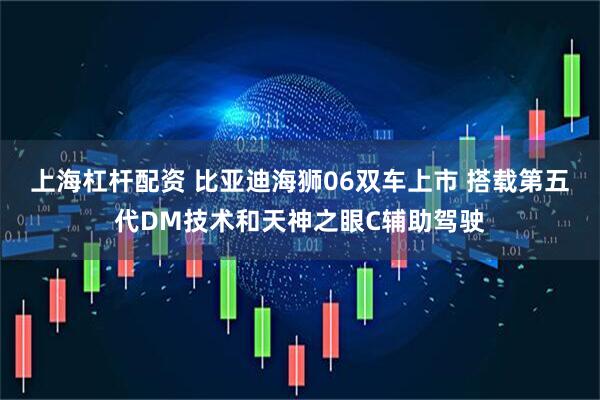 上海杠杆配资 比亚迪海狮06双车上市 搭载第五代DM技术和天神之眼C辅助驾驶